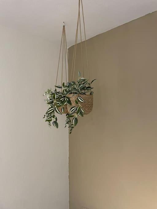 Almond Home Livadia  Eksteriør billede